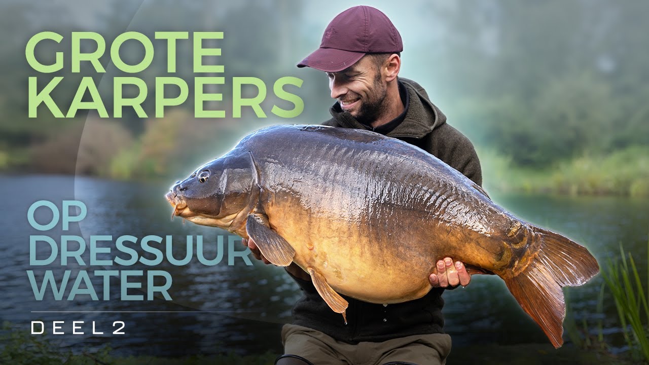 🎣 32 nachten op dressuurwater - Grote karpers in het najaar deel 2