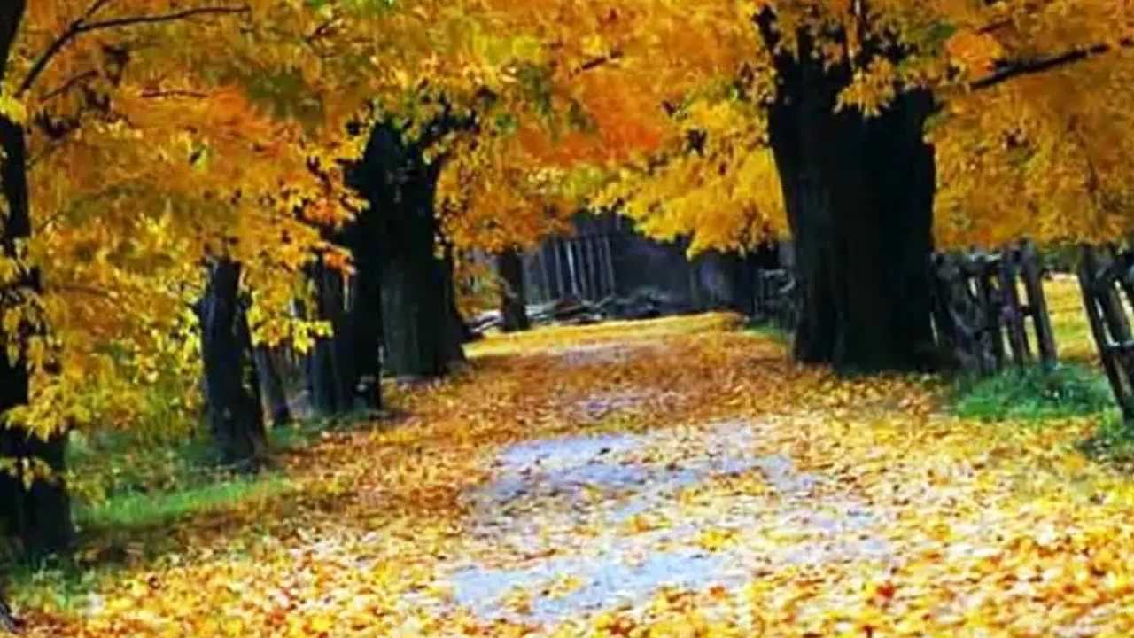 Rudolf Stambolla - Kur Gjethet Bien Ne Vjeshte   ( HD Quality )