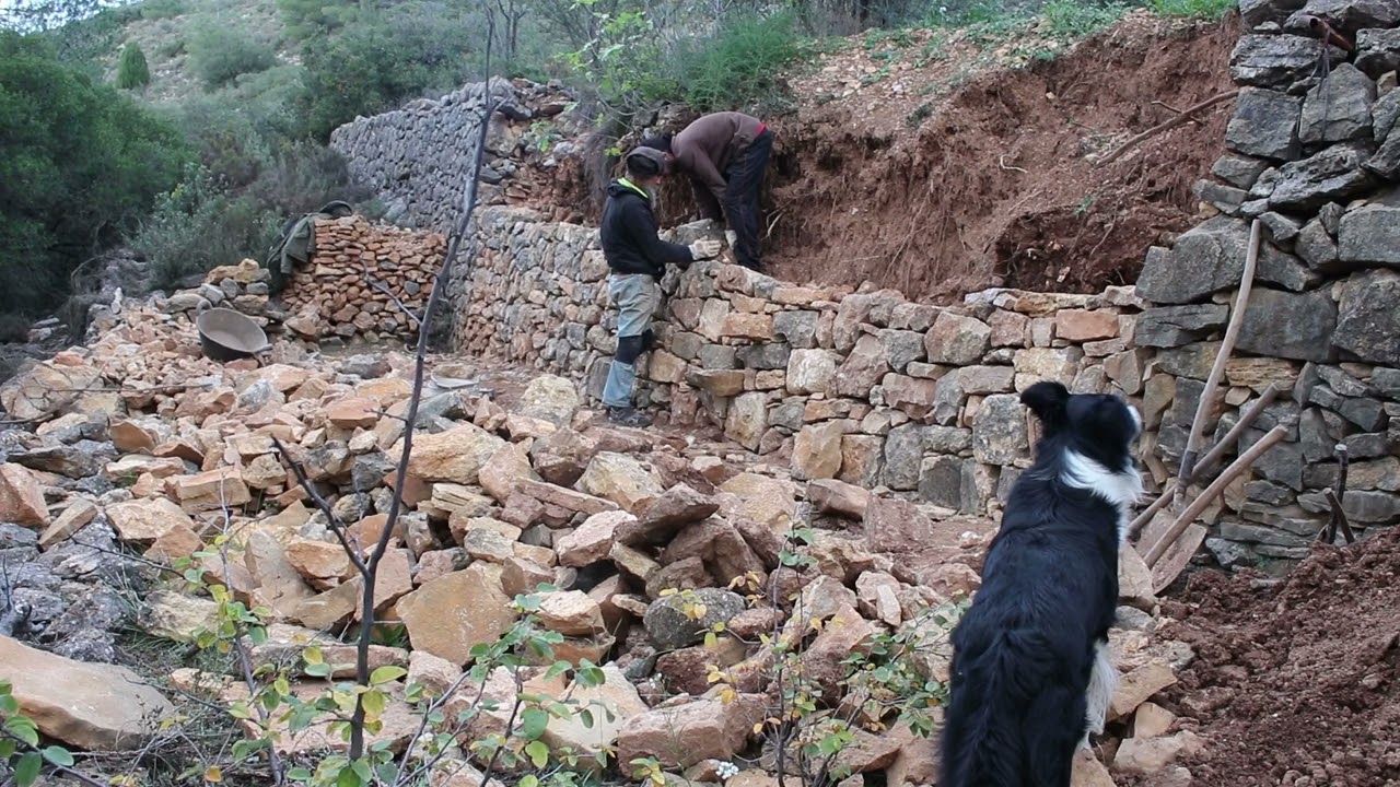 Reparación de bancales de piedra seca (Solsida)