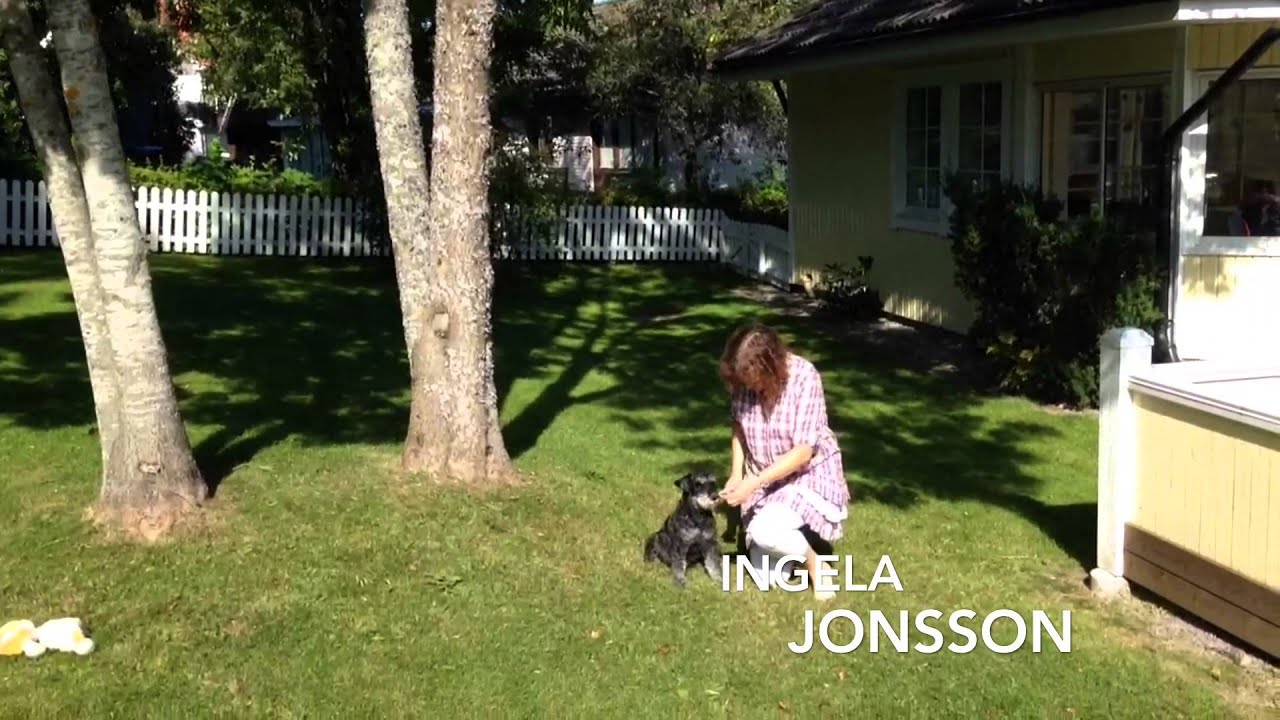 V&aring;ra passioner / Forshaga L&auml;rcenter 2015
