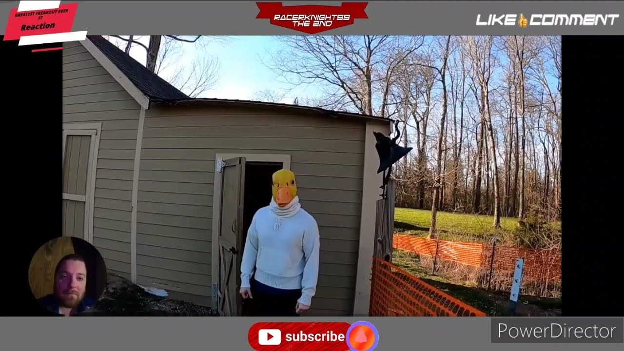 GREATEST FREAKOUT EVER 37 Reaction