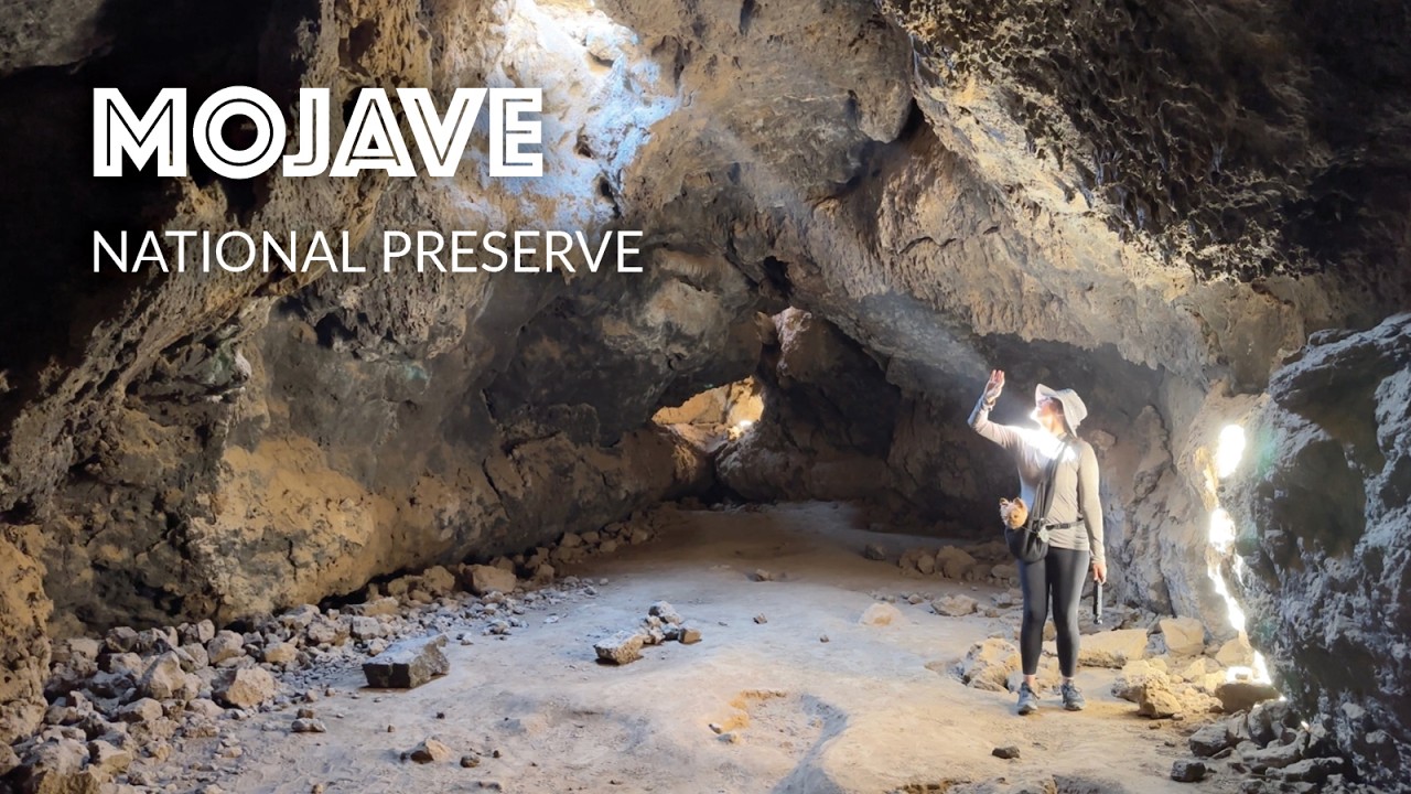 Mojave National Preserve - Things to Do