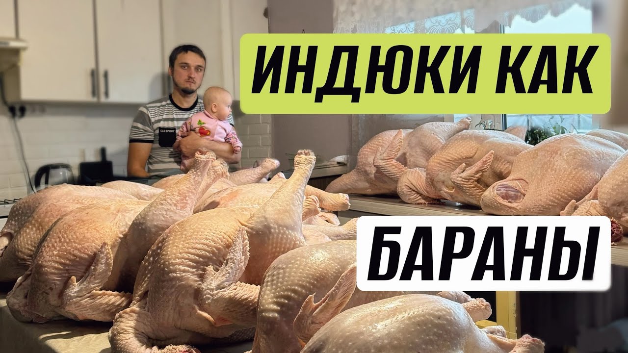 ЗАВЕРШИЛИ ПТИЧИЙ СЕЗОН! Какие результаты?