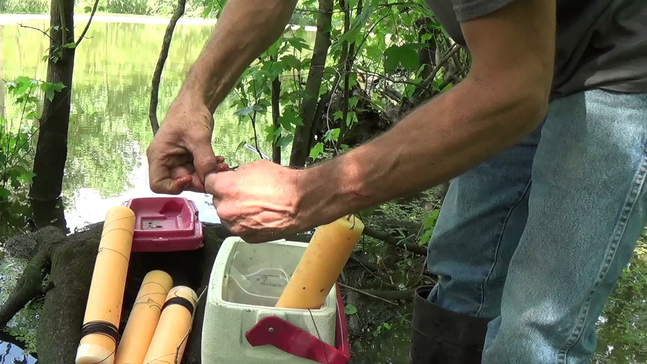 Louisiana. Catfish Lines. On The Bayou.