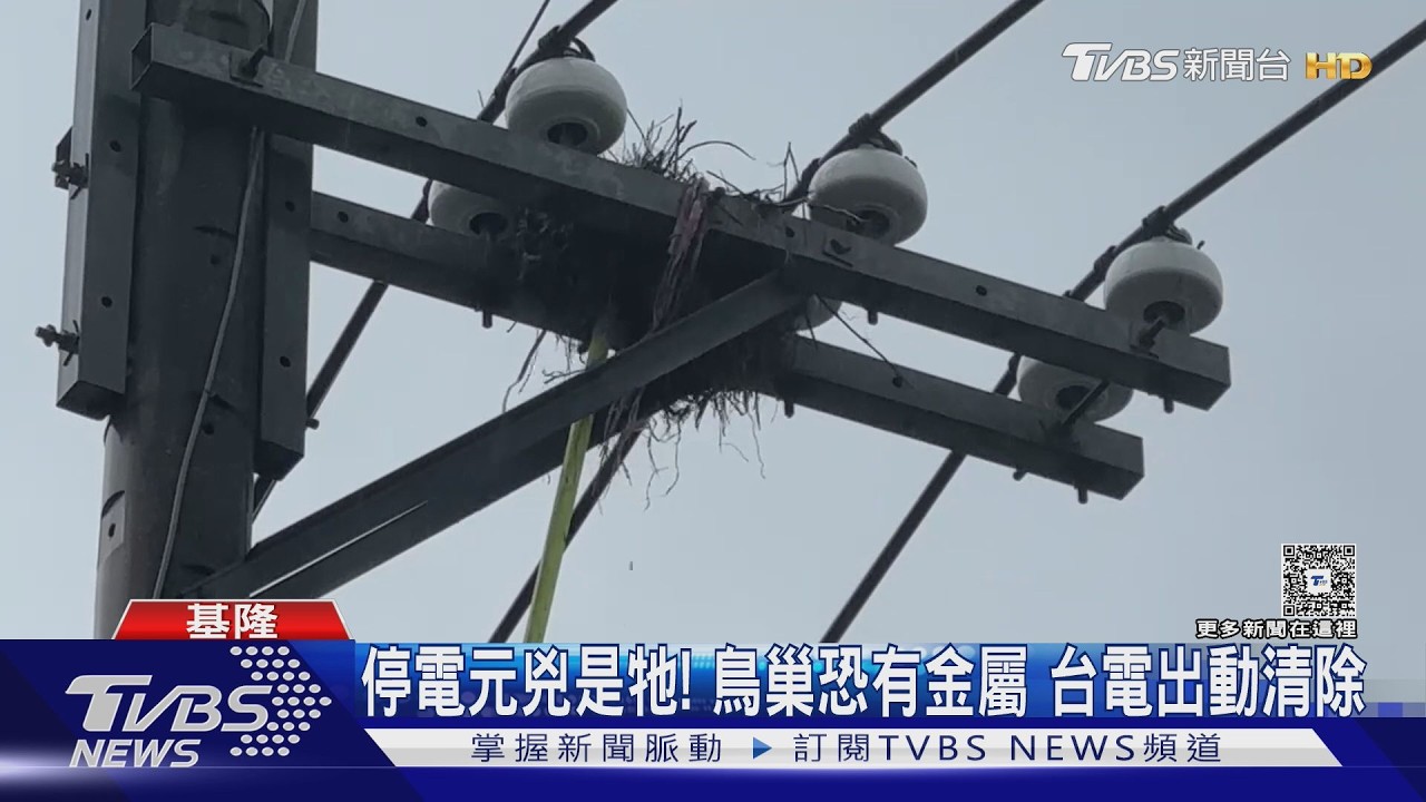 停電元兇是牠! 鳥巢恐有金屬 台電出動清除｜TVBS新聞 @TVBSNEWS01