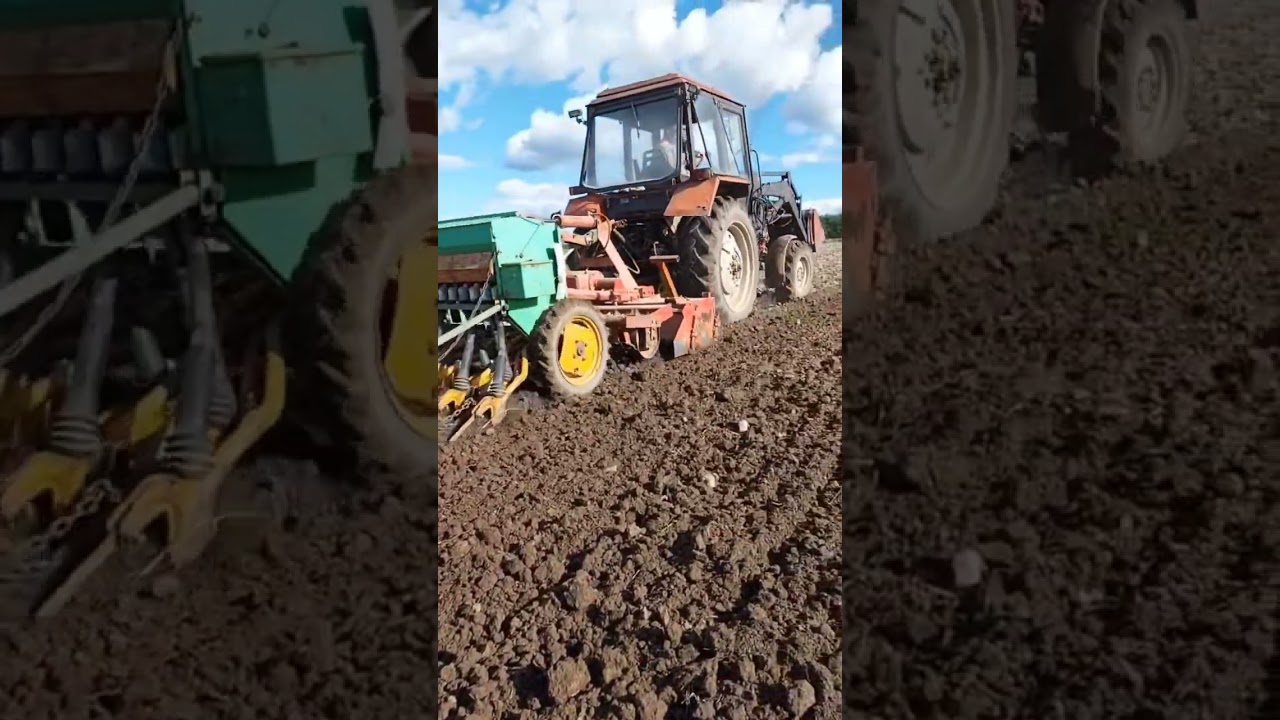 Siew owsa ozimego #belarus #mtz Brona aktywna rau rototiller+ siewnik amazone d7