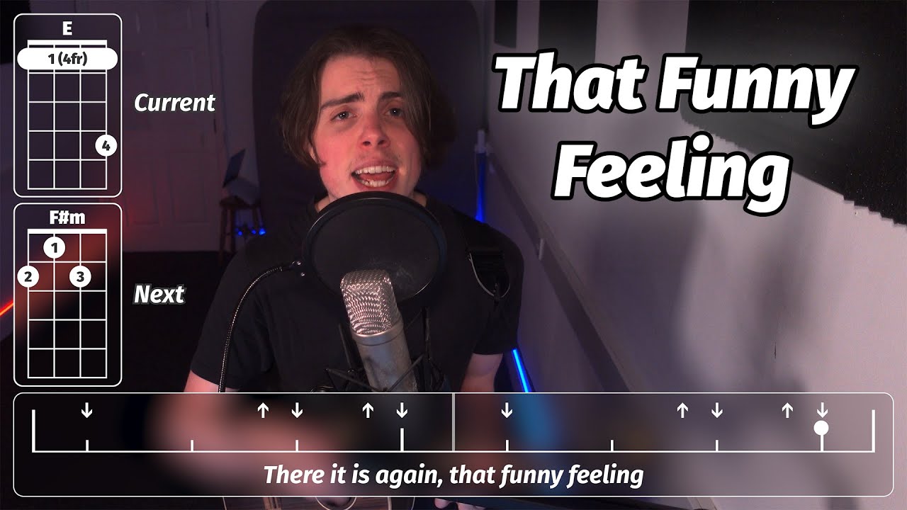 That Funny Feeling - Bo Burnham (Ukulele Cover/Play Along)