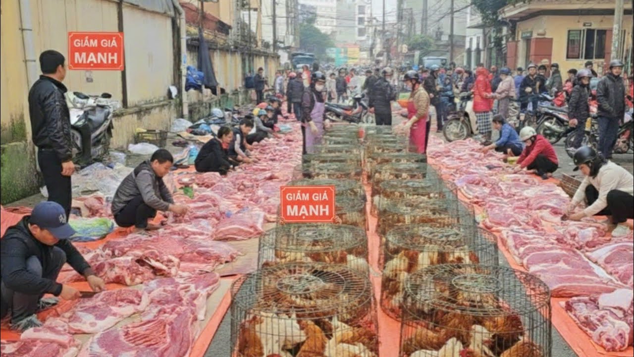 Chợ Tết 30 Lạng Sơn Lớn Nhất Cả Nước? Hàng Nghìn Gà Trống Thiến Và Lợn Khủng 200kg 