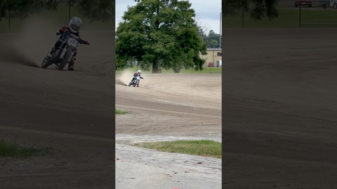 Cruise Texter Flat Track Cobra 50cc Wide Open