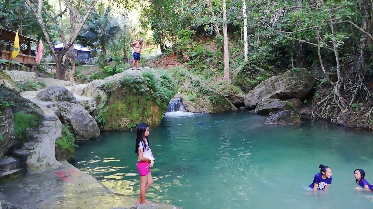 Fern valley