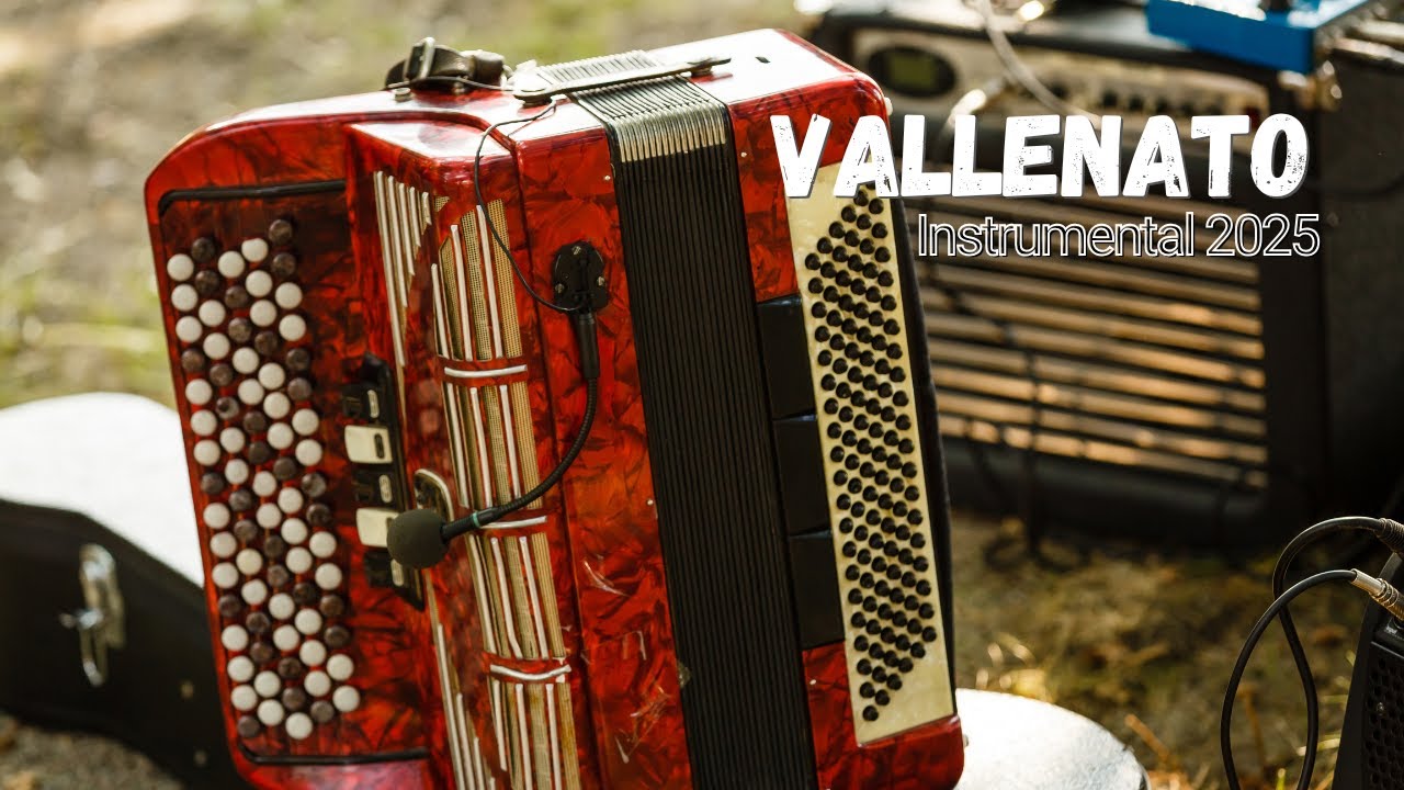 Vallenato Instrumental  | Música Típica Colombiana para Relajarse, Trabajar o Recordar 🎶 | 2025