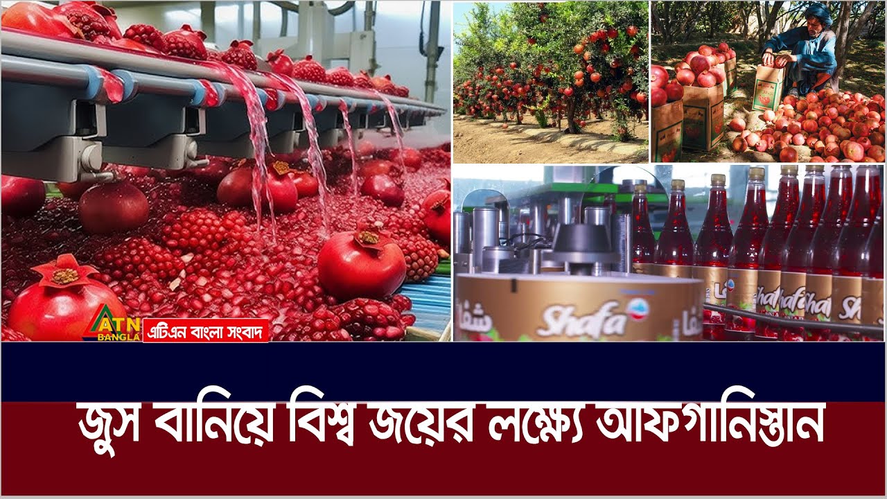 কীভাবে আনারের জুস রপ্তানি করে এগিয়ে যাচ্ছে আফগানিস্তান ? | Afghan Drink | Pamir | Pomegranate Juice