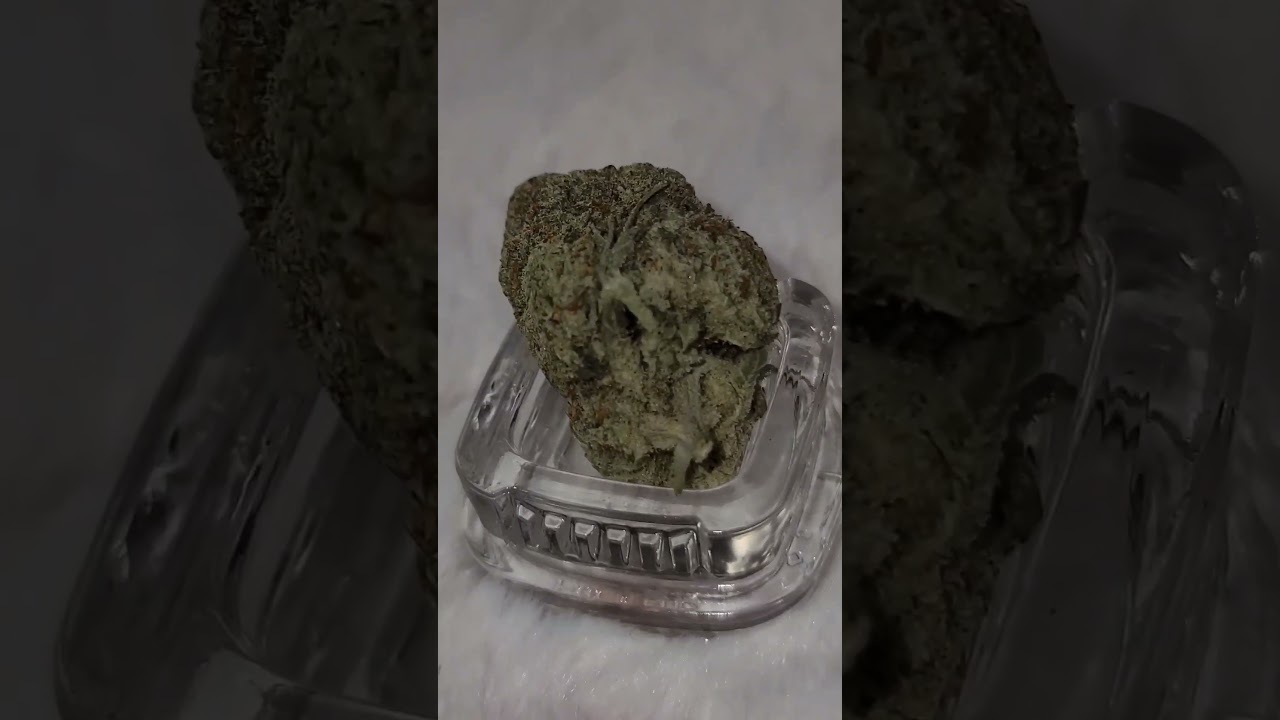 Bold Cultivation (Blueberry Mandarin Cookies) Delta West Memphis, Ar MMJ