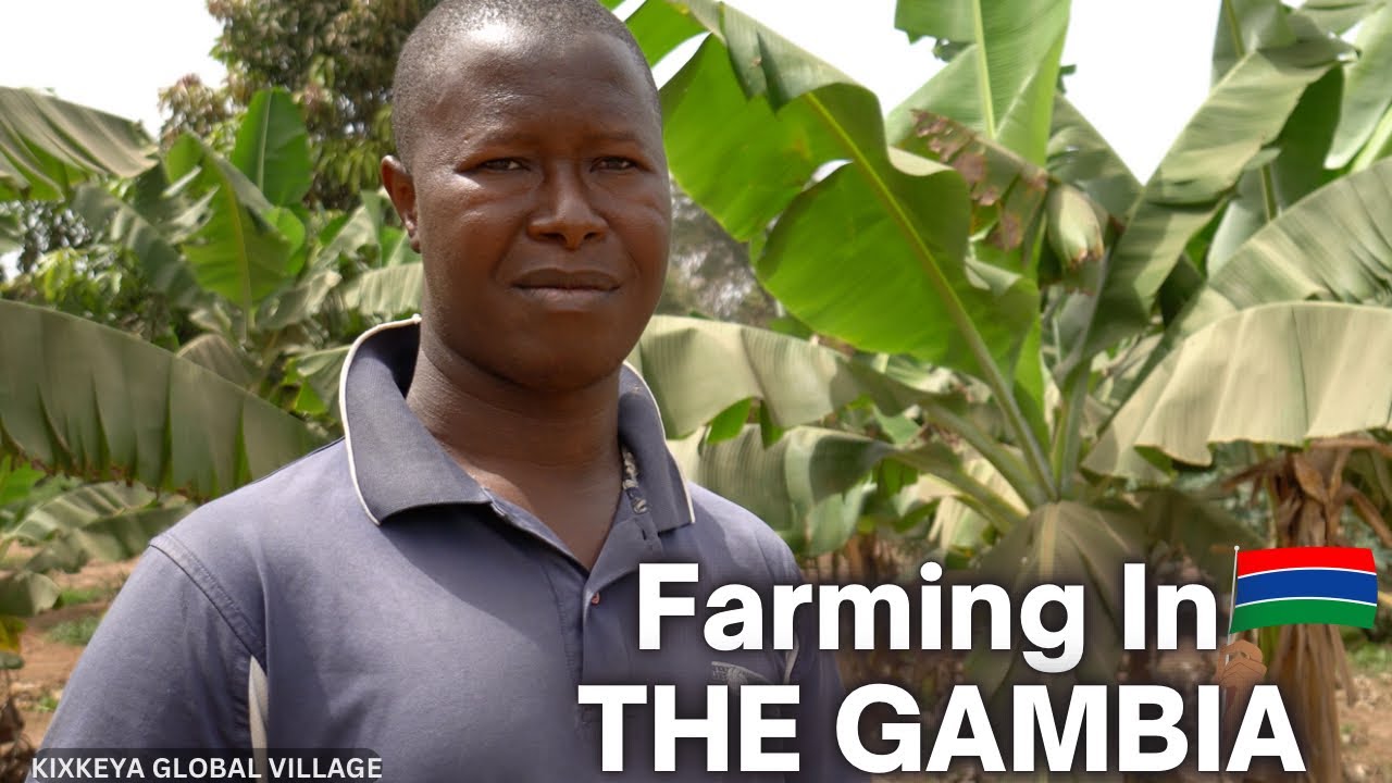 Gardening In The Gambia 🇬🇲| My Conversation With A Gambian Farmer