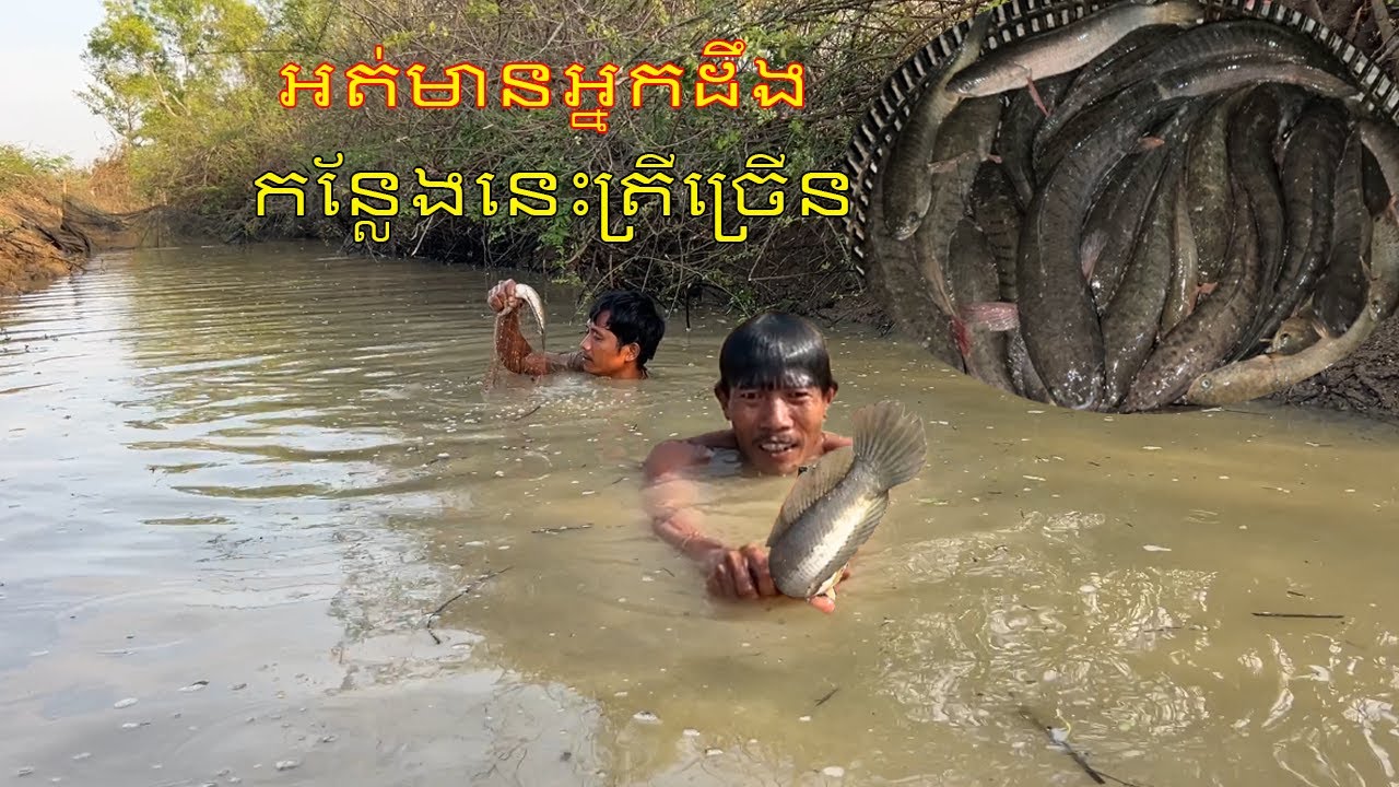 ជិះចុះជិះឡើង អត់ដឹងសោះថា កន្លែងនេះត្រីច្រើនម្លឹងៗ