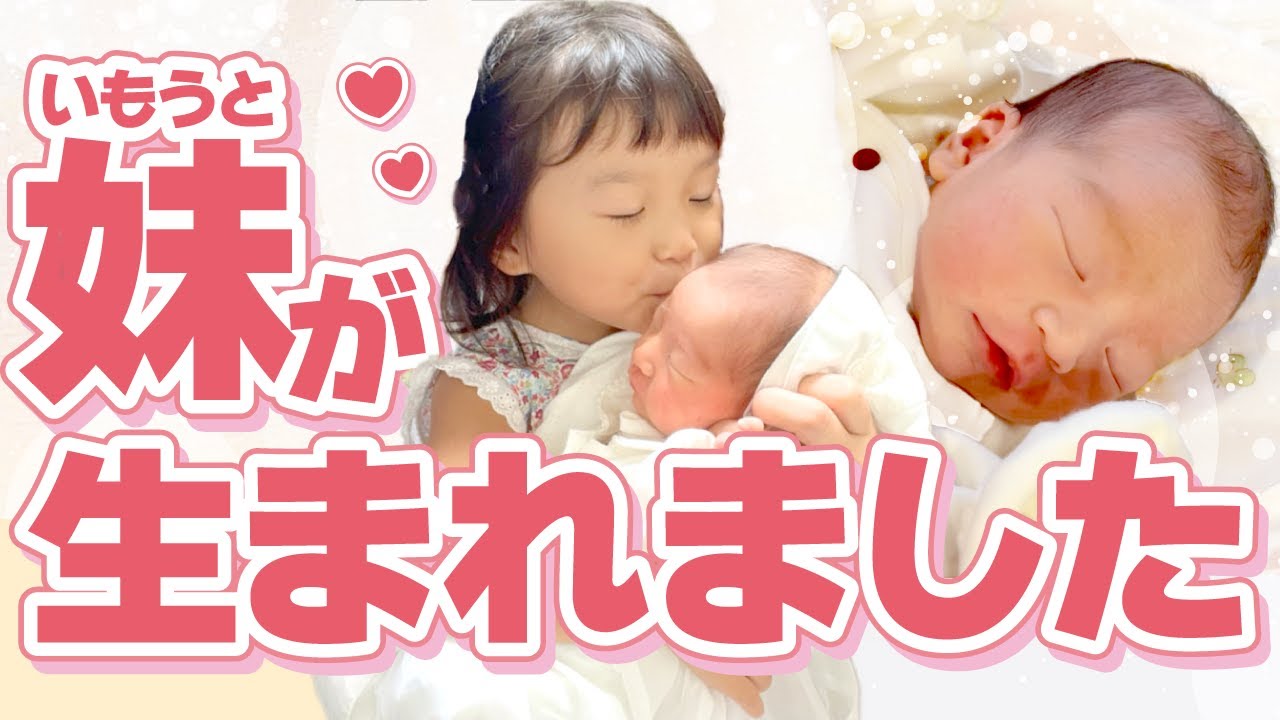 【ご報告】ののちゃんがお姉さんになりました