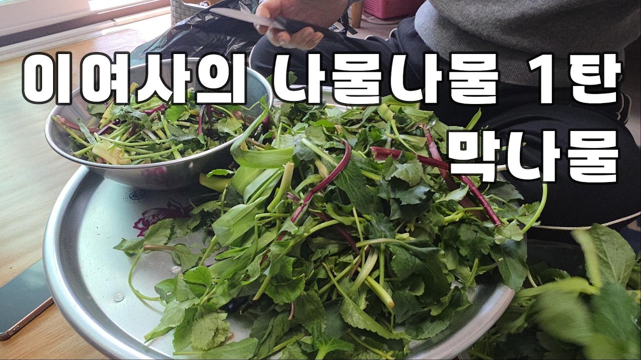 막나물 #집밥 #봄나물 #엄마의손맛 #양양시장 #나물 #koreanfood #vegeterianrecipe