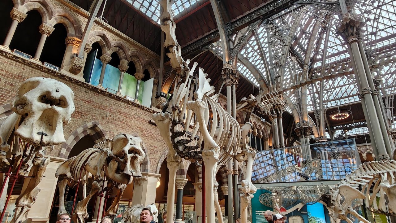 England 🏴󠁧󠁢󠁥󠁮󠁧󠁿 #oxforduniversity #museumofnaturalhistory 牛津自然歷史博物館 Part 2