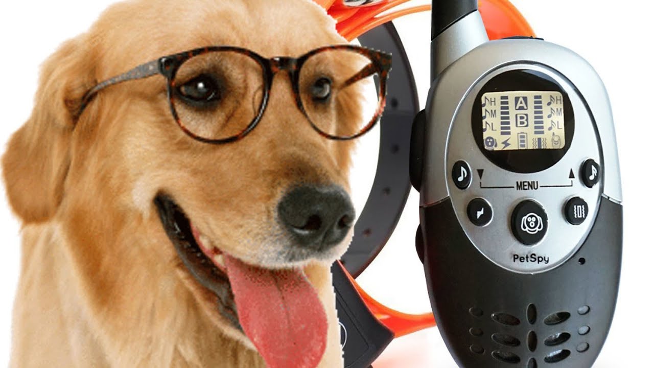 PetSpy 1100 Yard Waterproof Rechargeable Remote Training Dog Collar with Beep, Vibration