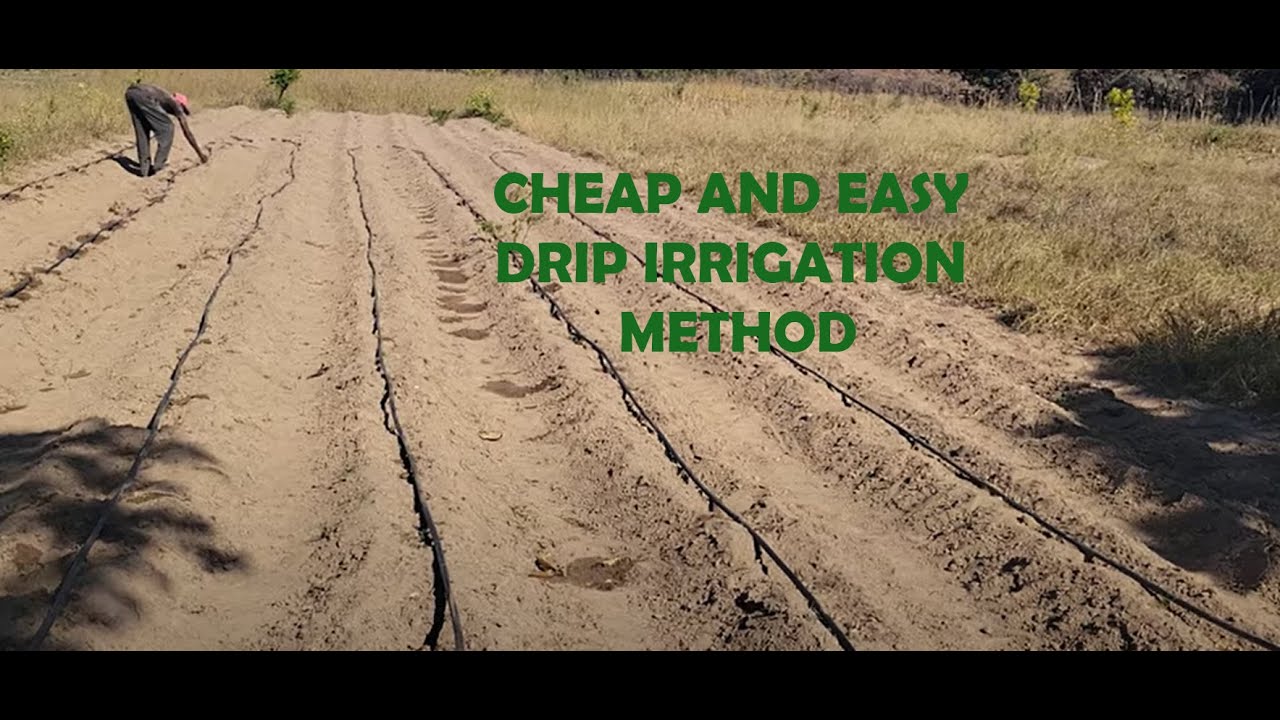 Simple Drip Irrigation System form small area