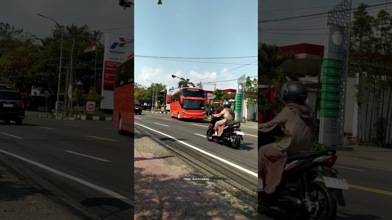 Manuver bus pariwisata Riffa trans #huntingbus #bus #busmania