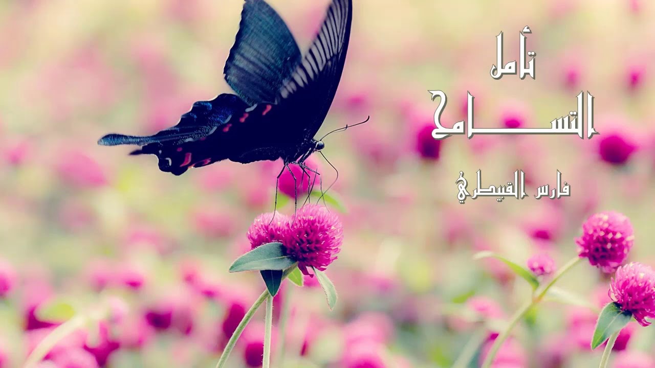 تأمل التسامح 