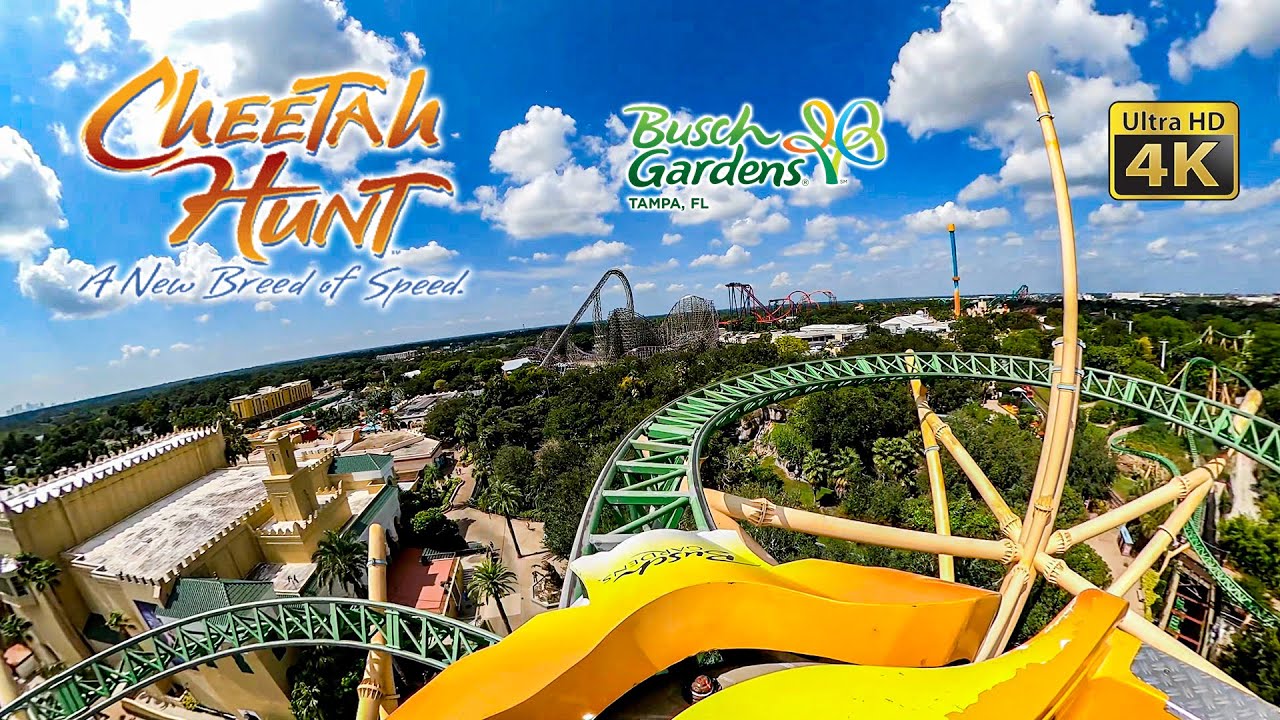 Cheetah Hunt Roller Coaster On Ride Front Seat 4K POV Busch Gardens Tampa 2021 10 07