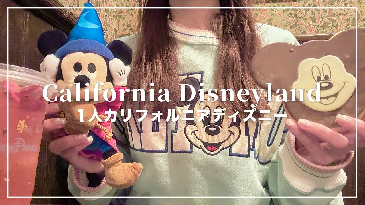 1人カリフォルニアディズニーランド🐭🇺🇸雨の日ディズニー☔️【Disney Vlog】