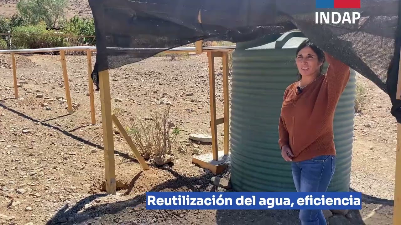 Nule Riquelme y Proyecto Forraje Hidropónico Pajonales Vallenar