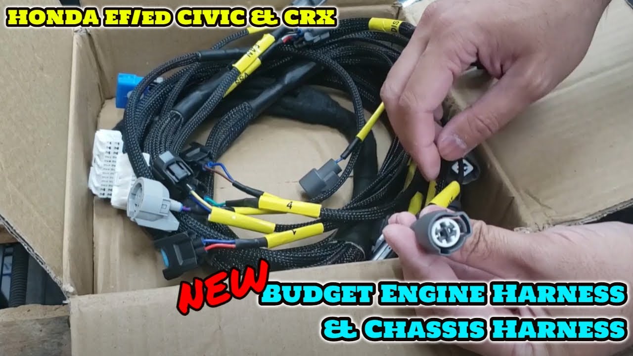 ||HONDA EF9 / ED7 88-91 CIVIC & CRX|| New Budget Engine Harness & Making a Chassis Harness 🔥