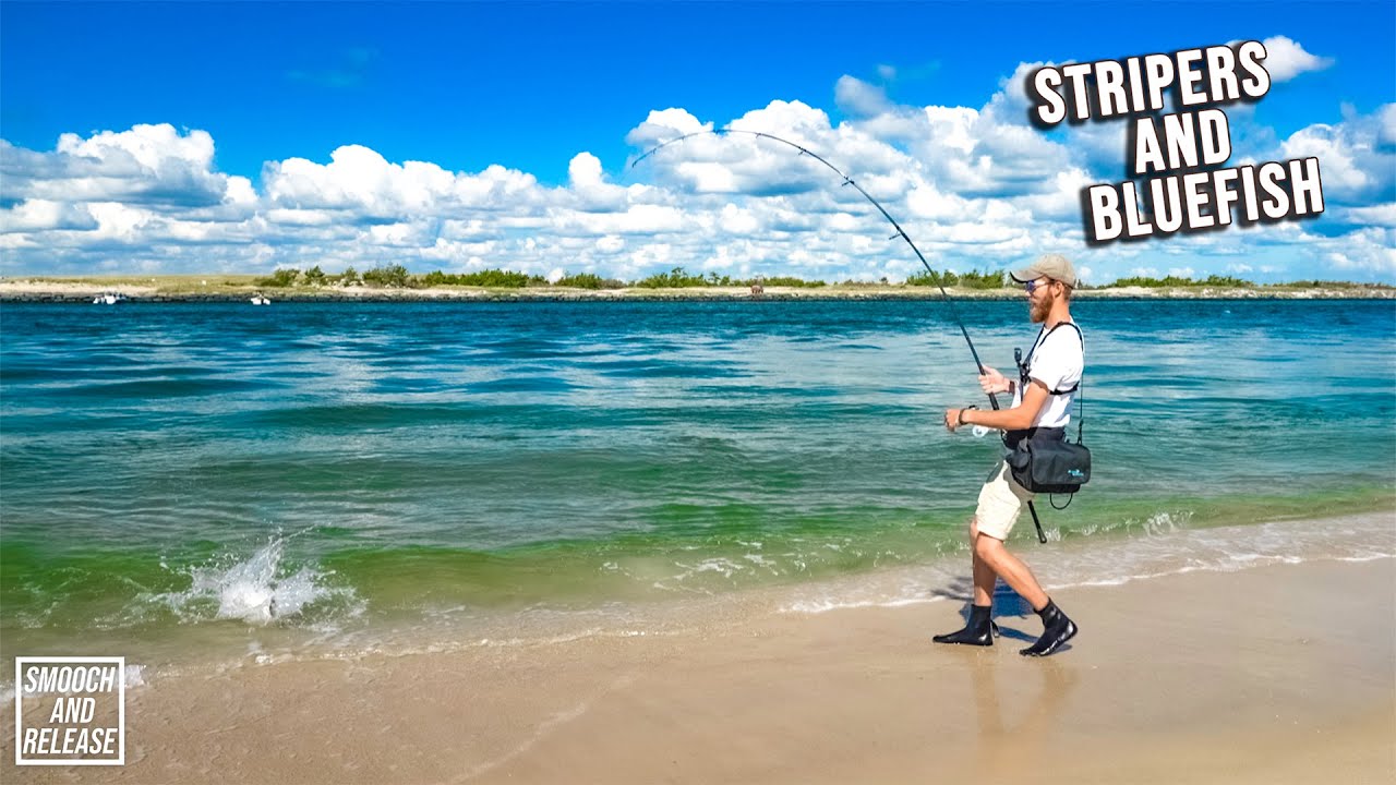 Stripers and Bluefish Early Morning Clear Water Surf Fishing Long Island - Fall Run