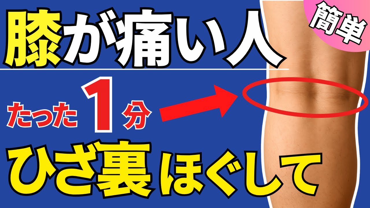 【たった1分】ひざ裏をほぐすだけで、ひざ痛が劇的に解消する方法をご紹介します