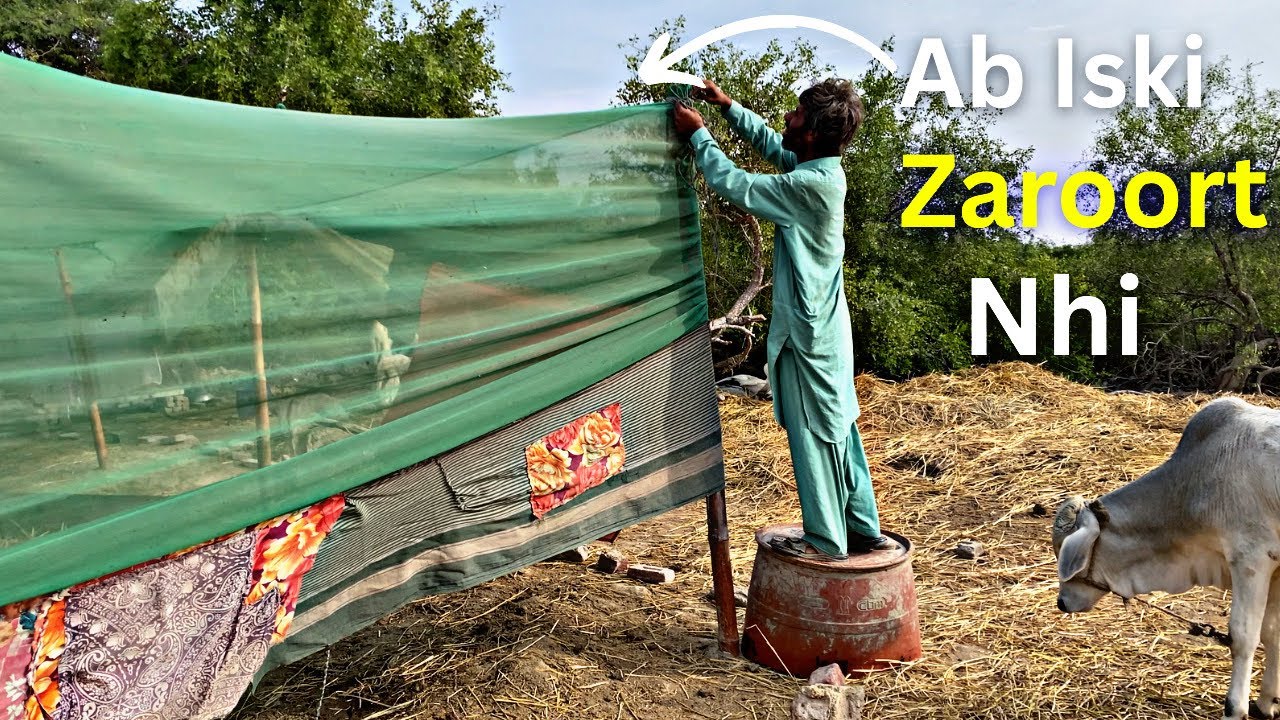 Machar Kam Ho Gaye Ab Iski Newd Nhi 