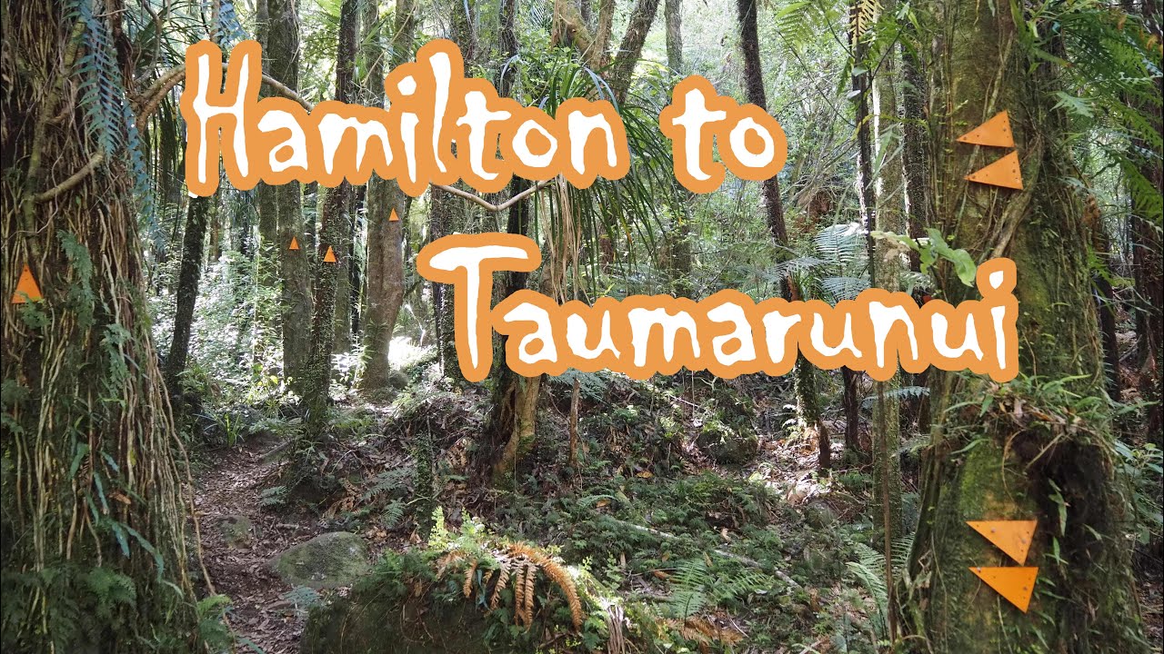 Te Araroa | Part 4: Hamilton to Taumarunui (km 1047) | 2023/24