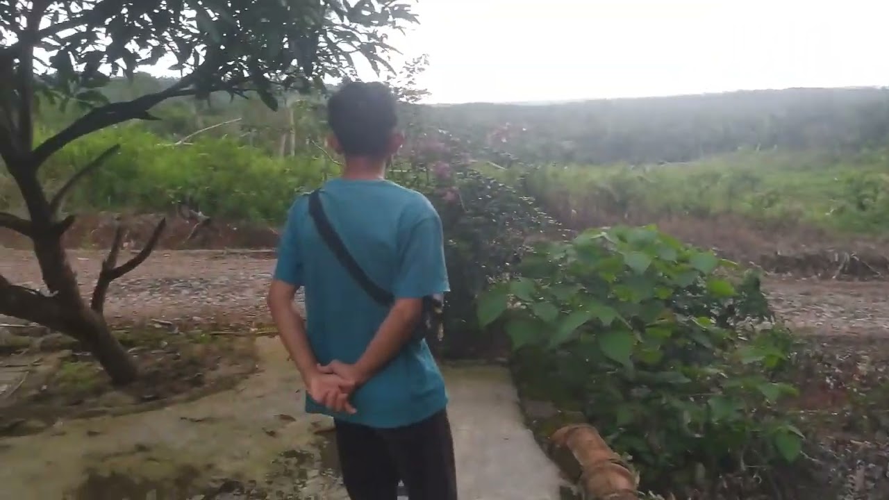 Bertualang explor tanaman spektakuler dikampung saat ini dengan jelajah alam bebas