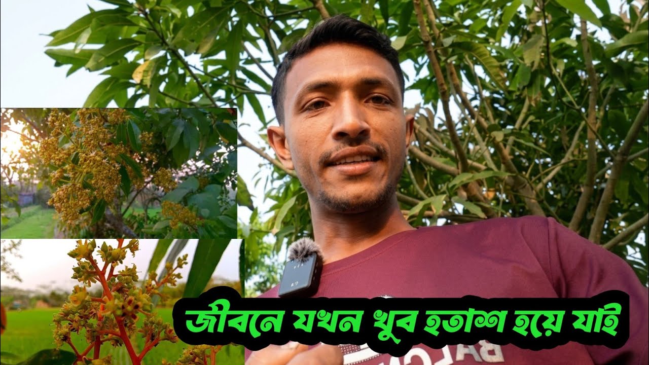 জীবন থেকে হতাশা দূর করতে বেশ কাজে দেয়,, আলহামদুলিল্লাহ। 