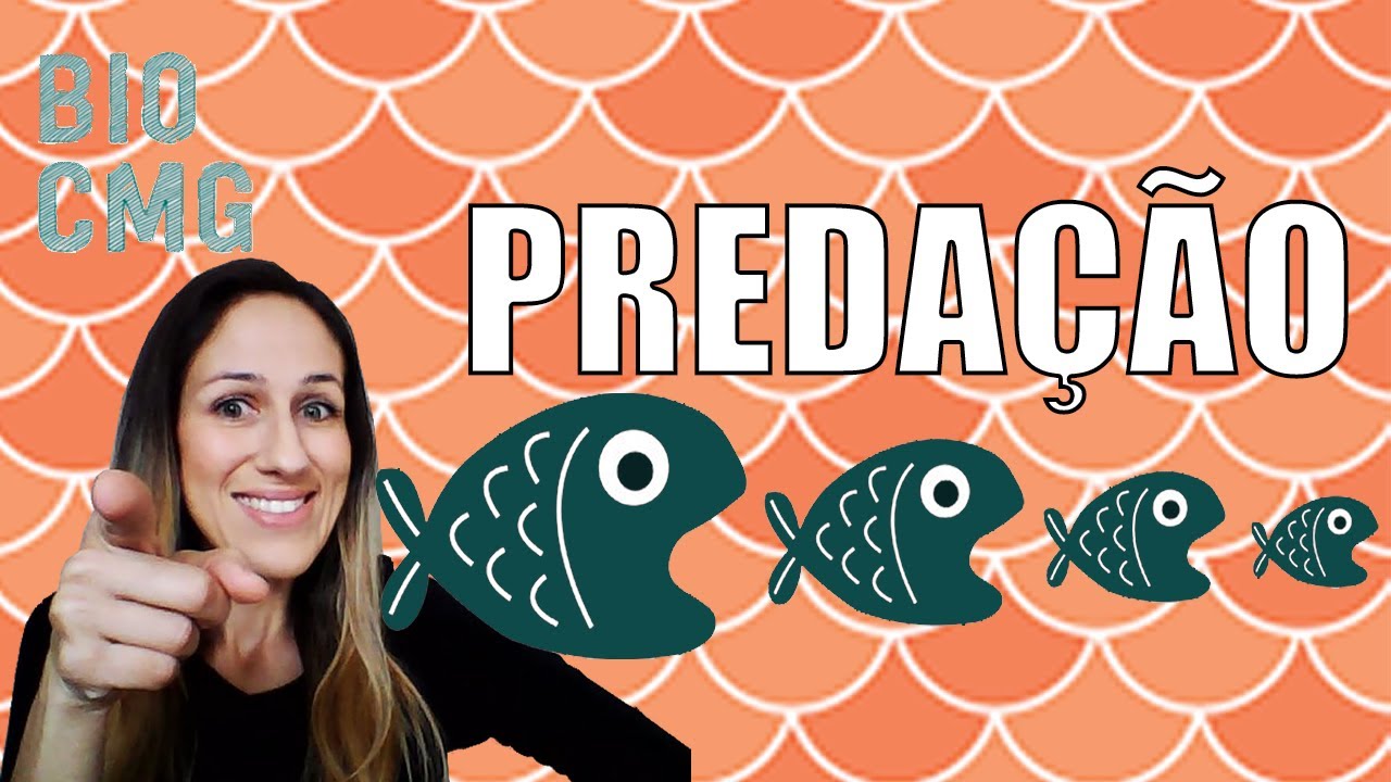 Predação - como ela influencia o tamanho das populações (Modelo Lotka-Volterra)