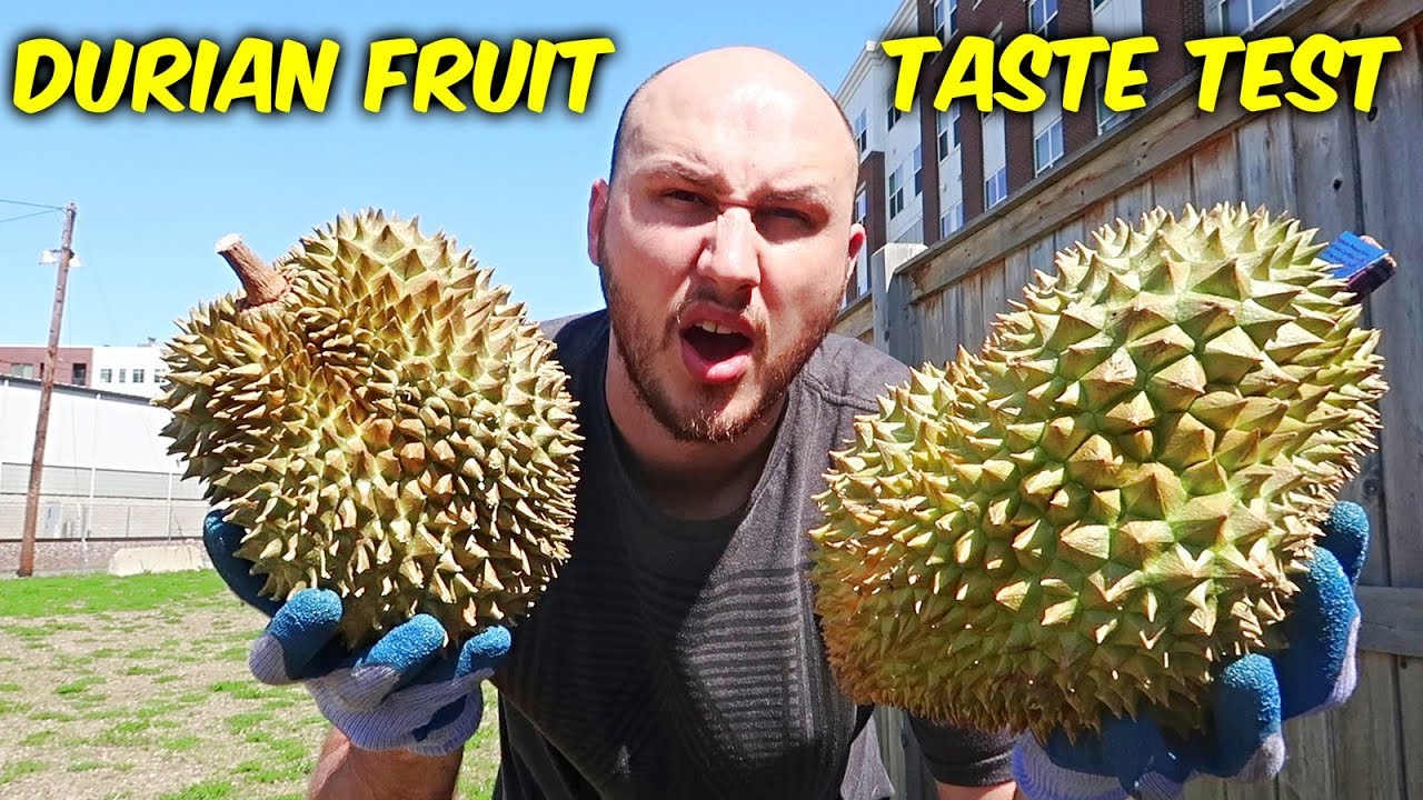Durian Fruit Taste Test