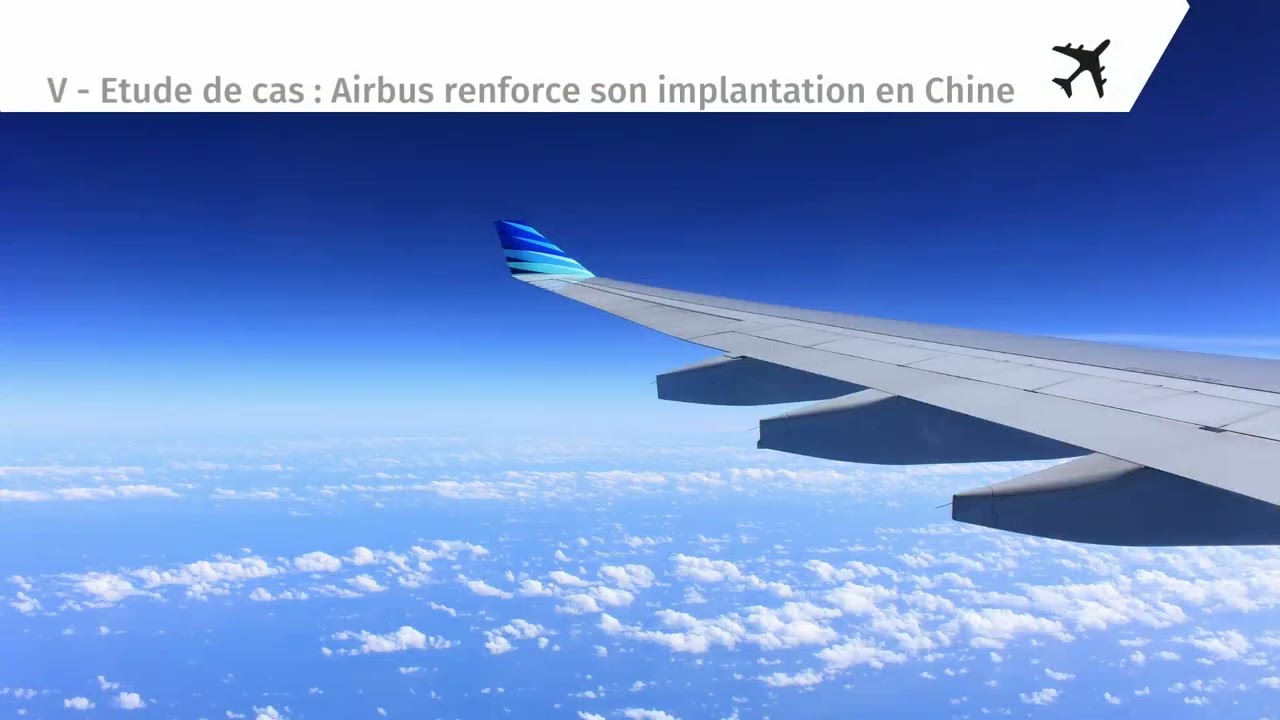 Analyse des d&eacute;terminants qui orientent les entreprises multinationales vers les IDE