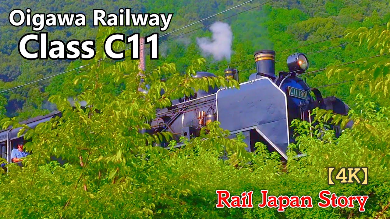 Steam Locomotive C11 Oigawa Railway crossing the Oi River in mountains | Train Japan