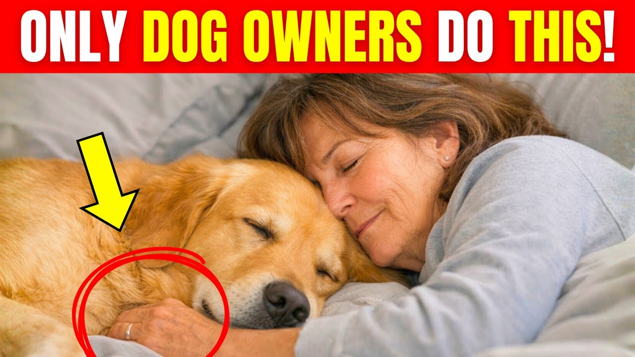 9 STRANGE Habits You Pick Up When Having a Dog!