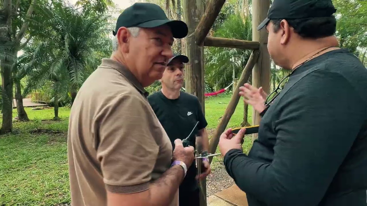 Treinamento de equipes de trabalho com Alaya