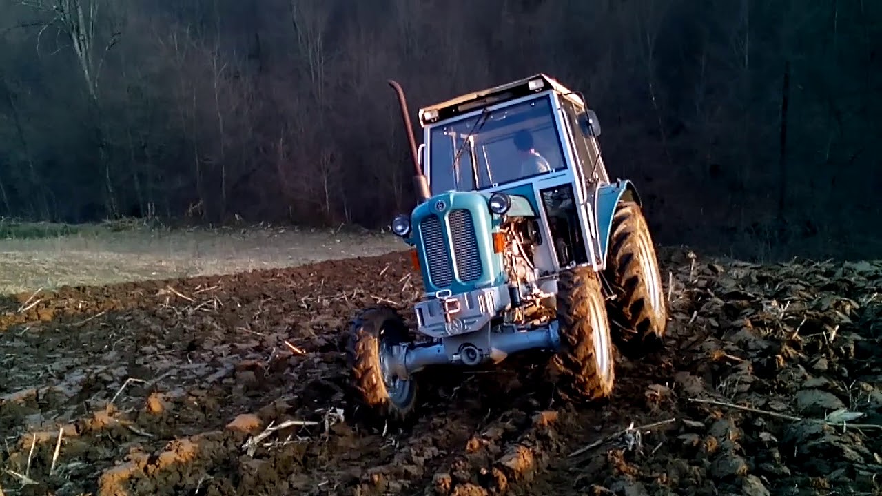 Rakovica 76DV Oranje