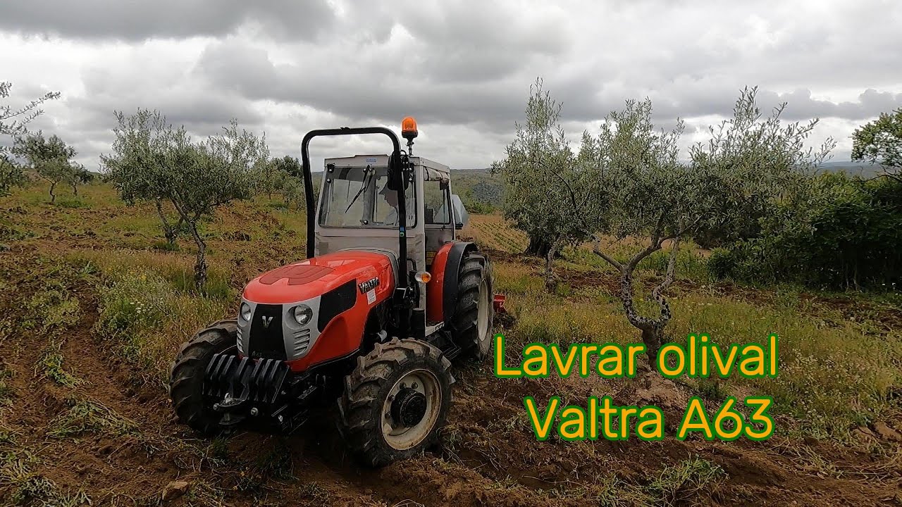 Lavrar olival Valtra A63