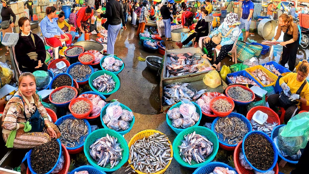 Cambodia Fish Freshwater Market. The Cold Market, Fish, Pork, Shrimp, Lobster.