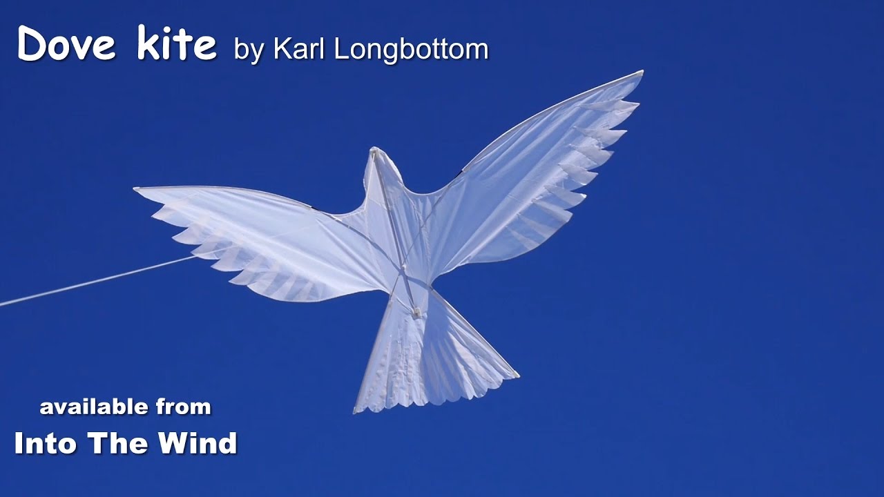 Dove Kite by Karl Longbottom, available from Into The Wind