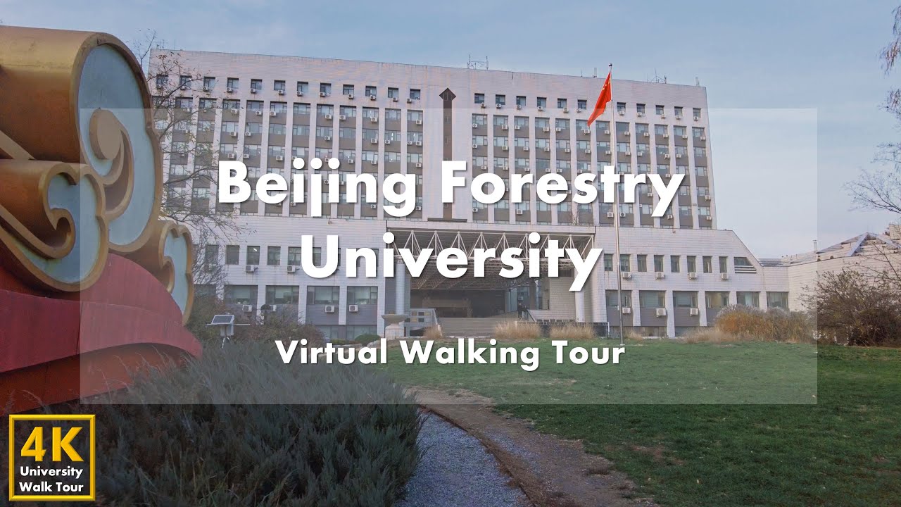 Beijing Forestry University - Virtual Walking Tour [4k 60fps]
