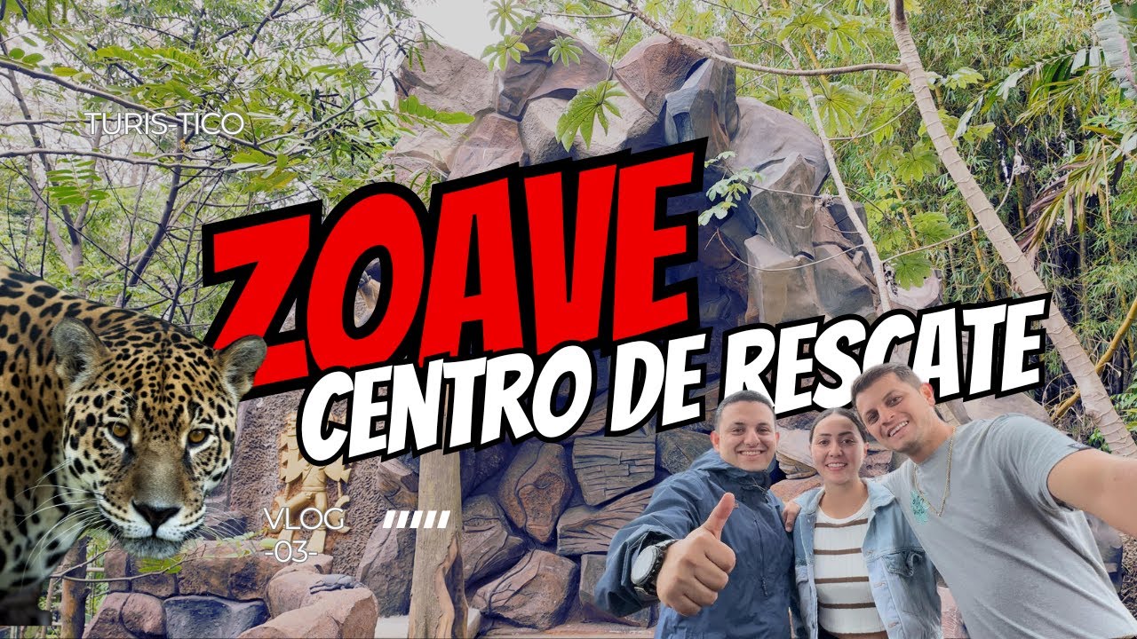 😨TIGRES Y PUMAS EN EL LUGAR😨| Rescate Wildlife Rescue Center Costa Rica -ZOAVE- ALAJUELA| Turis-TICO