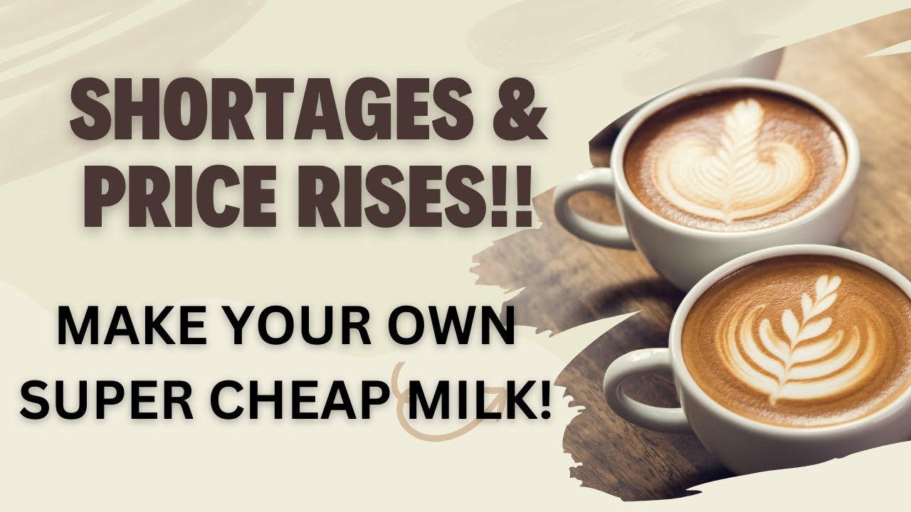Make your own super CHEAP OAT milk! Save Money #frugalliving #costofliving