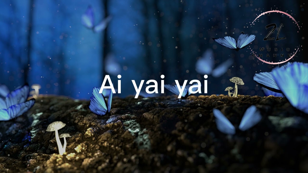 【纯享】 Butterfly - 姚智鑫 （I'm searching for a manAll across Japan）